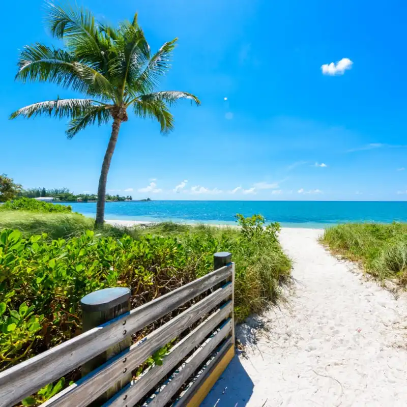 Sombrero Beach with palm trees on the Florida Keys, Marathon, Florida, USA. 