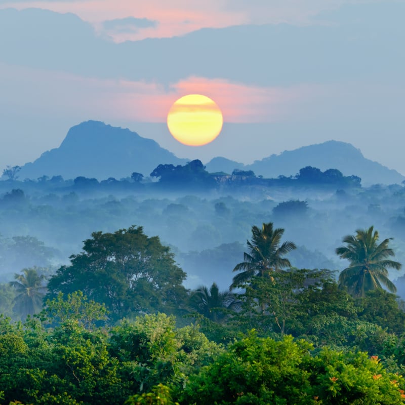 Sunrise over jungle in Sri Lanka