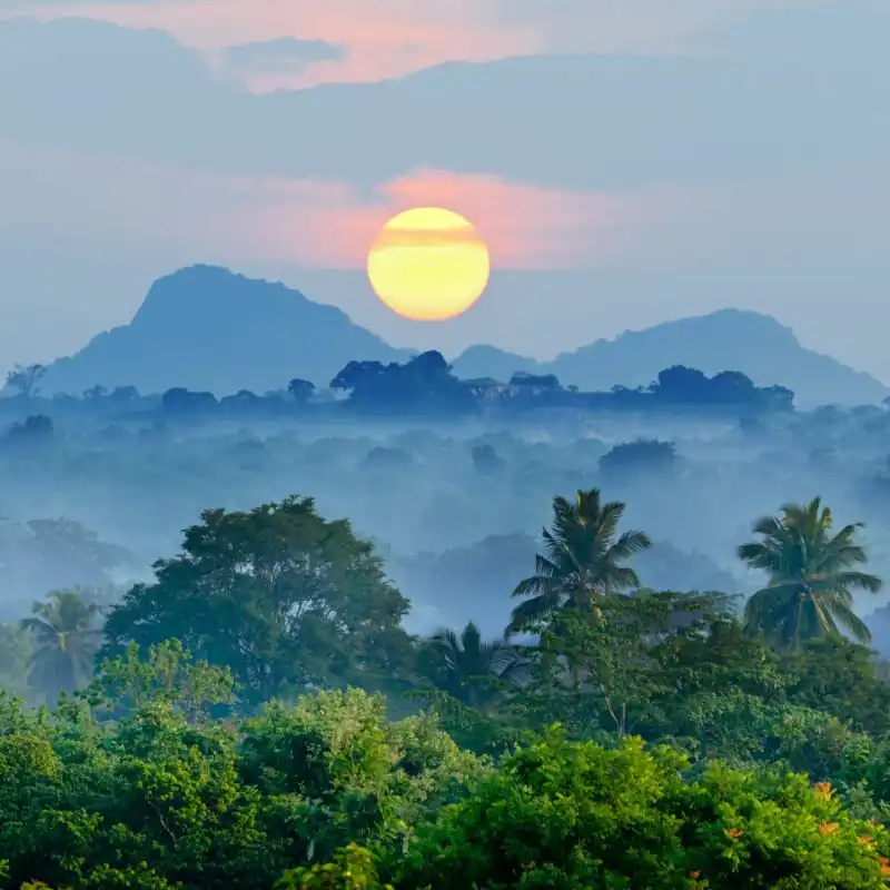 Sunrise over jungle in Sri Lanka