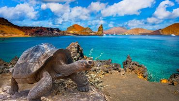 The Galapagos Islands Will Raise Its Entrance Fee Dramatically For The First Time In 25 Years  
