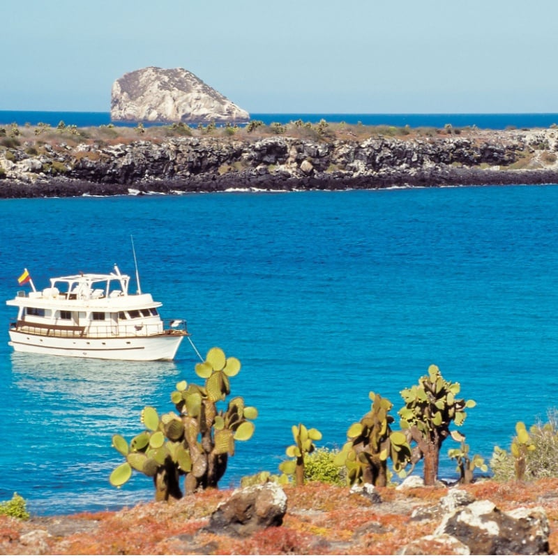 Tourist boat visits South Plaza with red sesuvium and prickly pear cactus vegetation in foreground, Galapagos Islands,